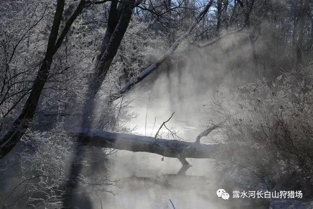 许佳琪早期水着泳装，青春有你2A班选手