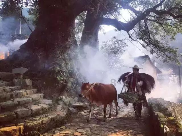 臭屁虫吃吃吃