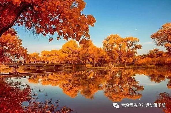营救小乌龟