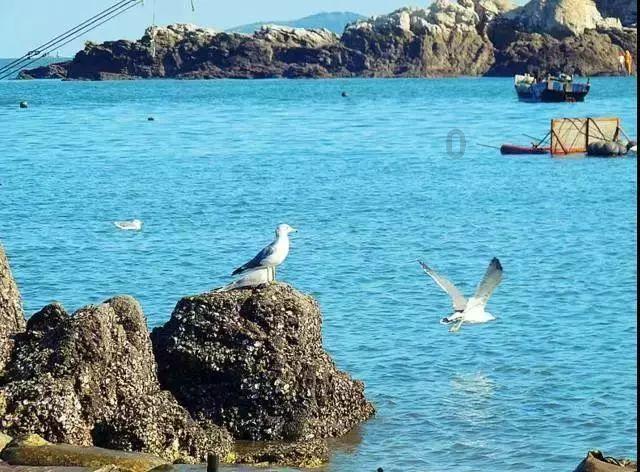 名流设计