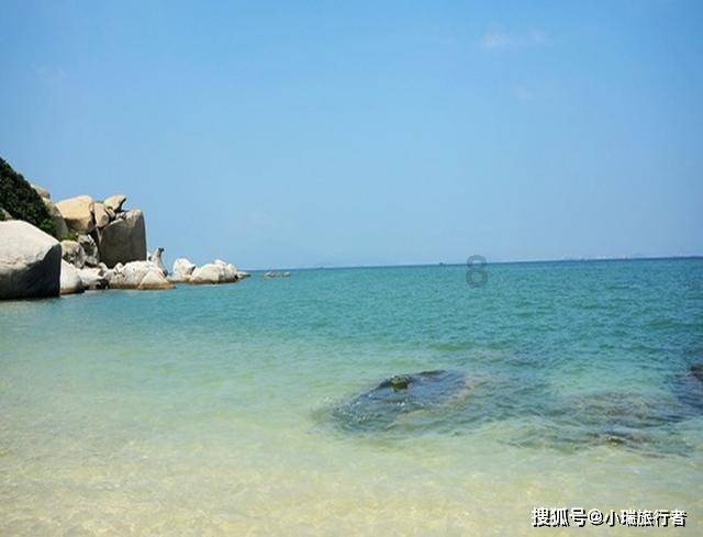 小乌龟逃亡记