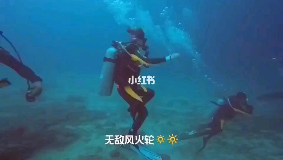 大众迈腾试驾车在哪买？