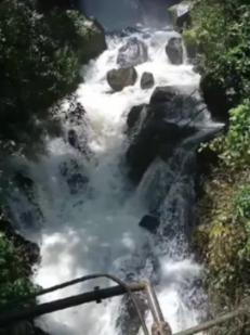 麻椒鸡肚子里辣椒酸怎么回事游戏画面